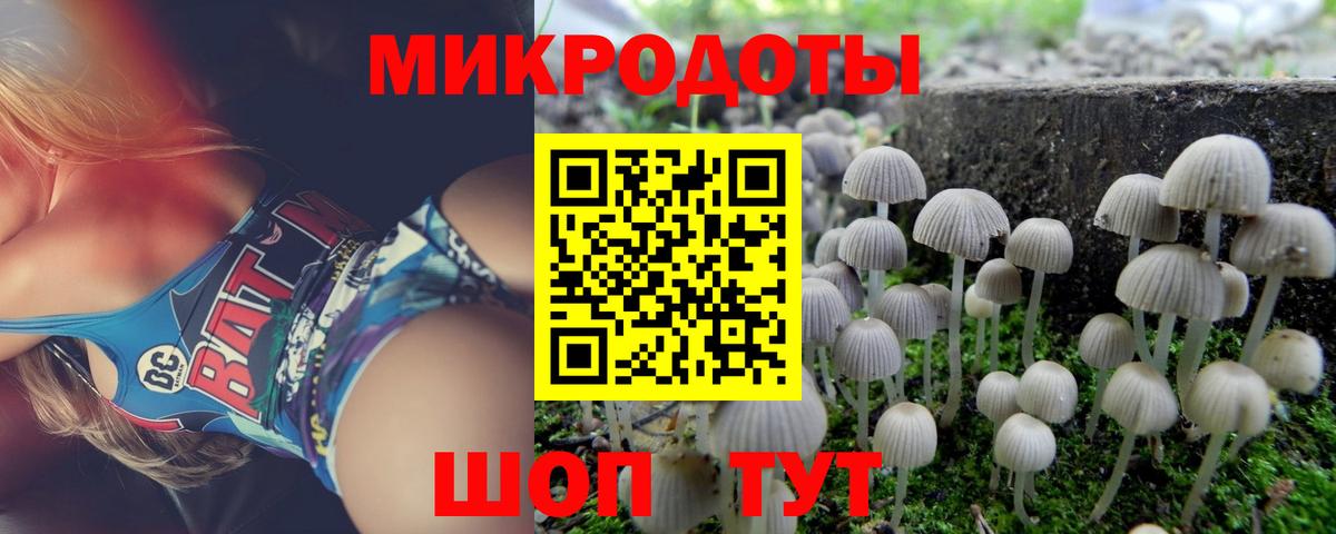 Псков  цена   Вход с VPN  Галлюциногенные грибы GOLDEN TEACHER 